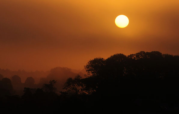 Slideshow Image 2