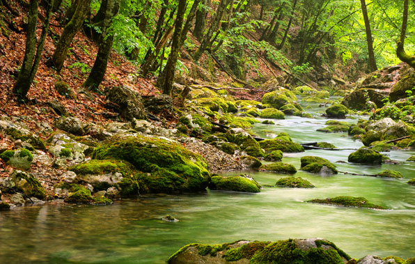 Slideshow Image 5